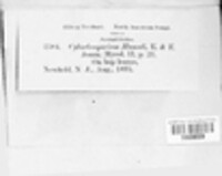 Image Associated With the Occurence